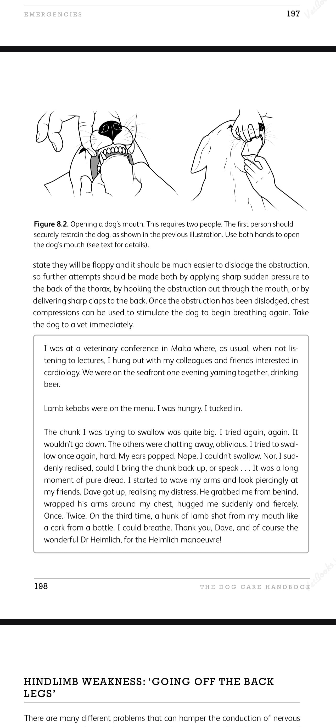 The Dog Care Handbook + 2 Bonuses!