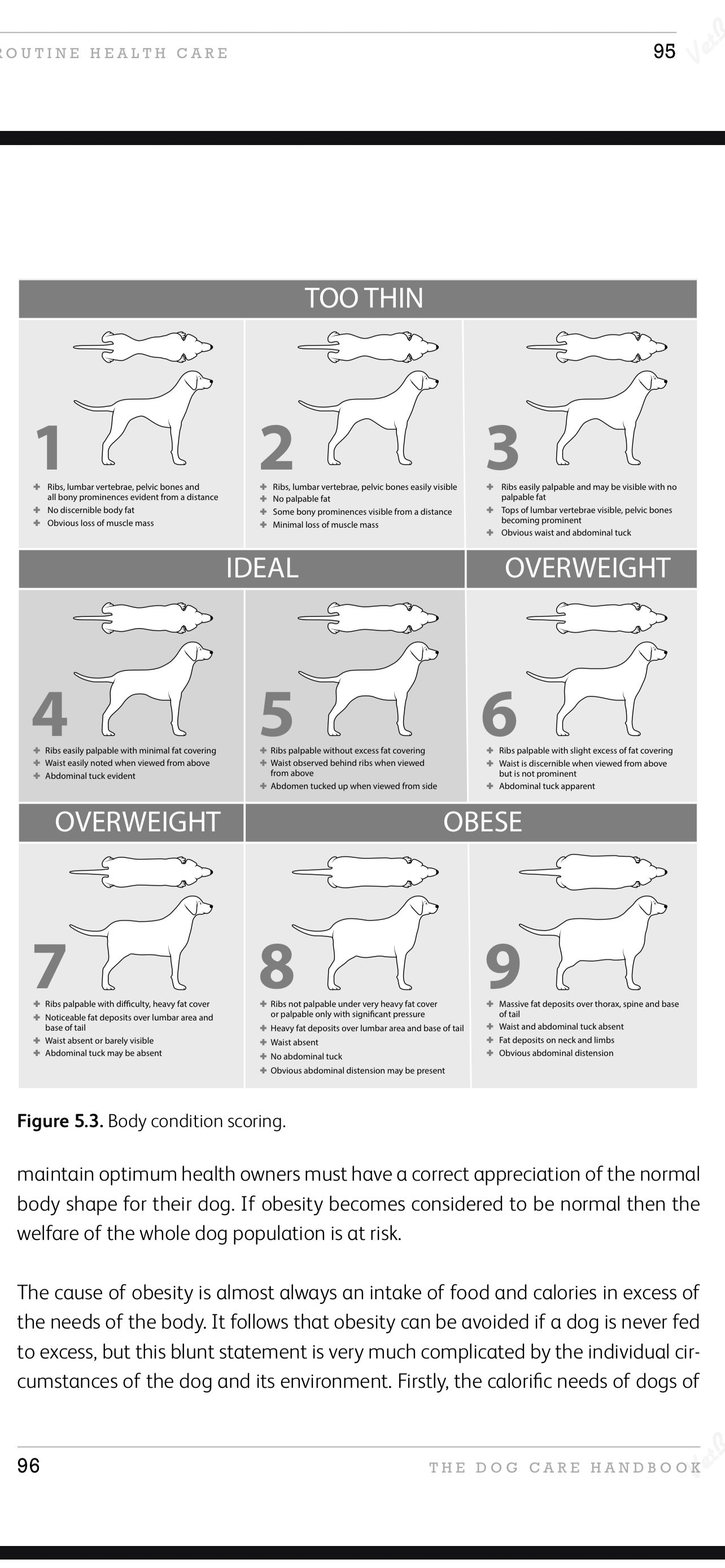 The Dog Care Handbook + 2 Bonuses!