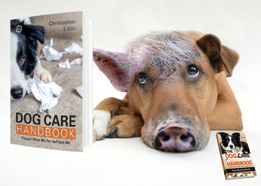 The Dog Care Handbook + 2 Bonuses!